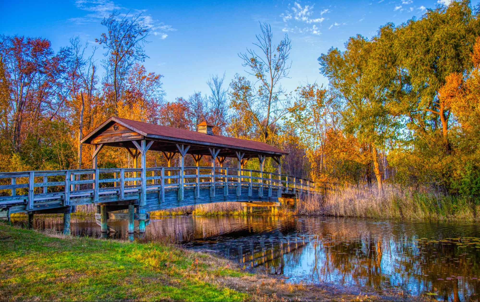 Celebrating Commerce Township: Local Festivals You Shouldn&rsquo;t Miss